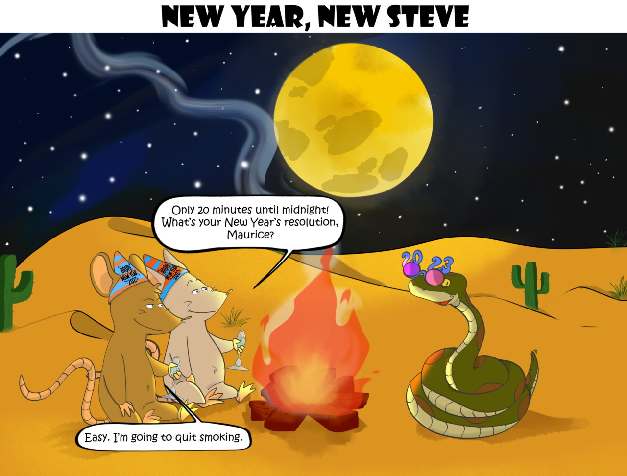 10- New Year, New Steve