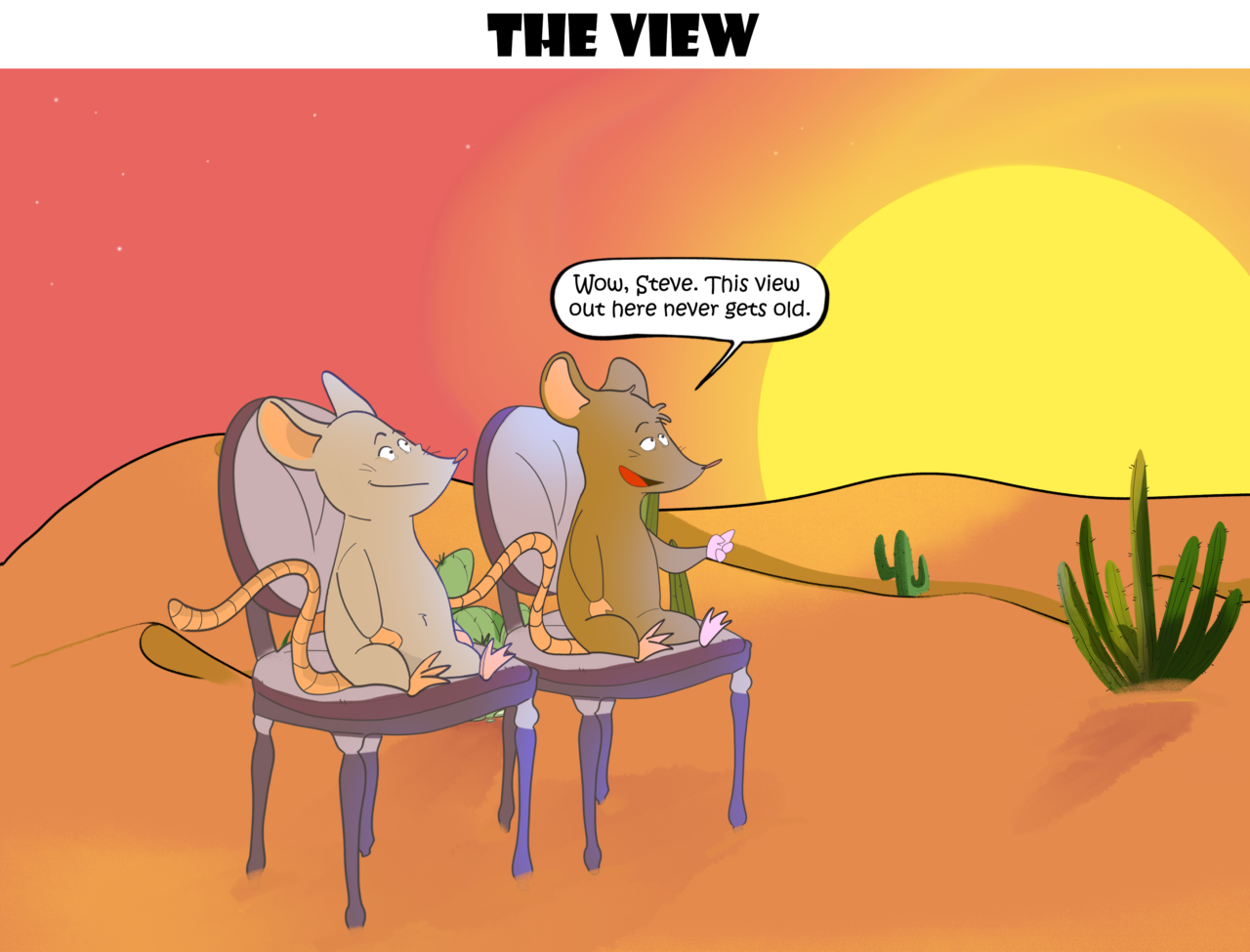 12- The View